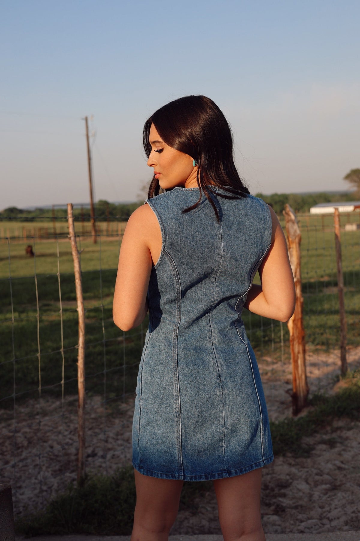 Dallas Denim Dress