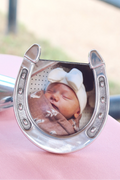 Horseshoe Picture Frame