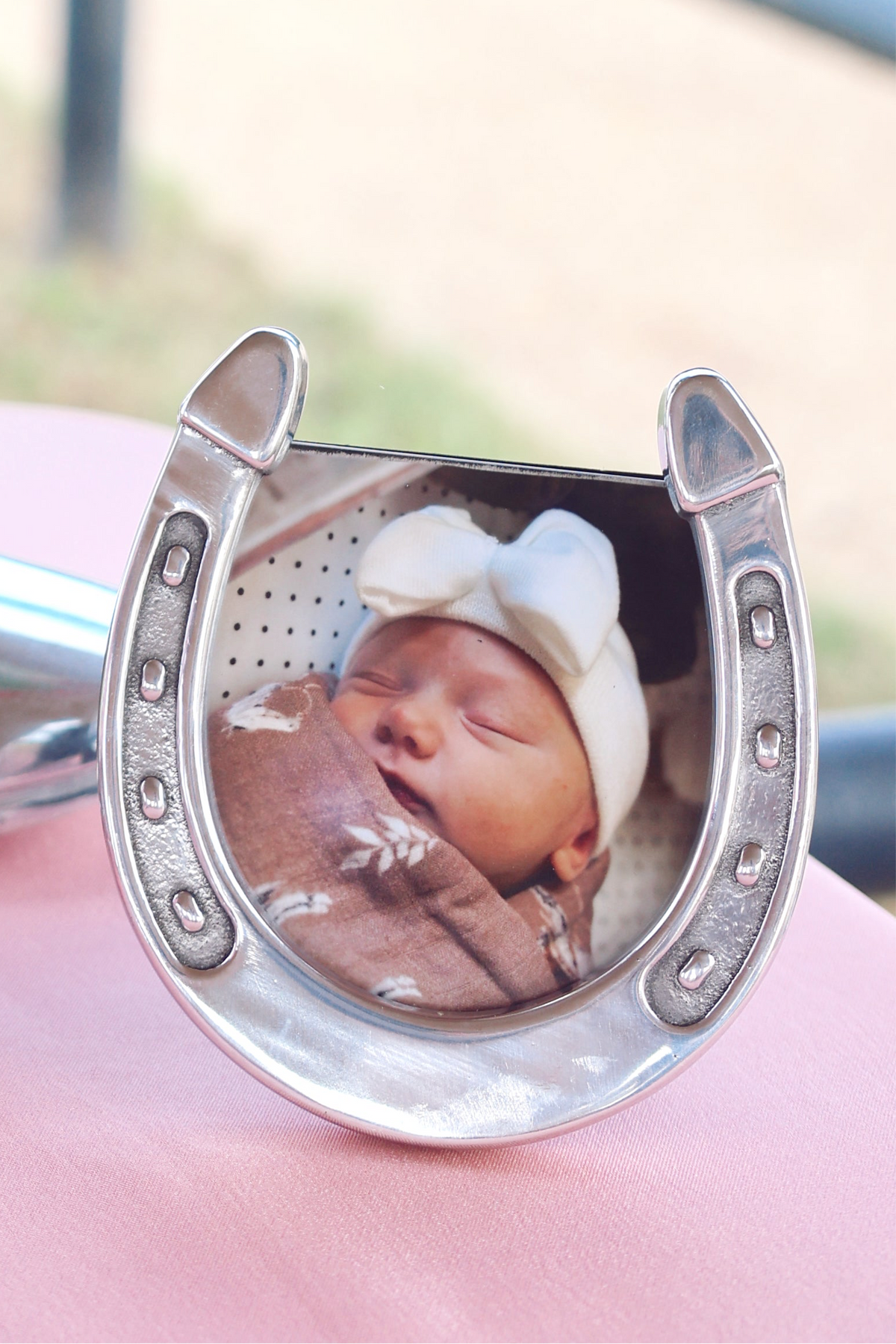 Horseshoe Picture Frame