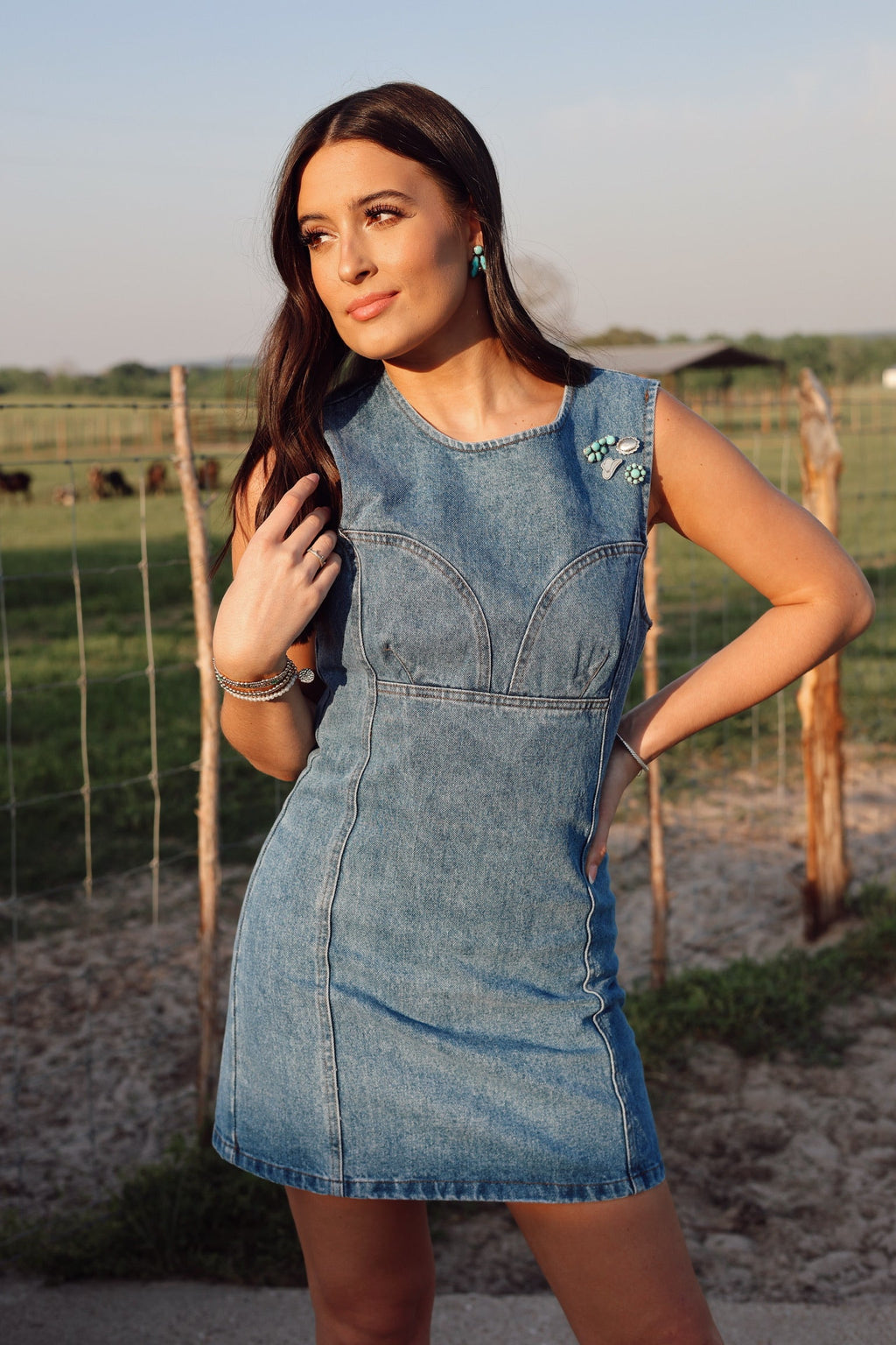 Dallas Denim Dress