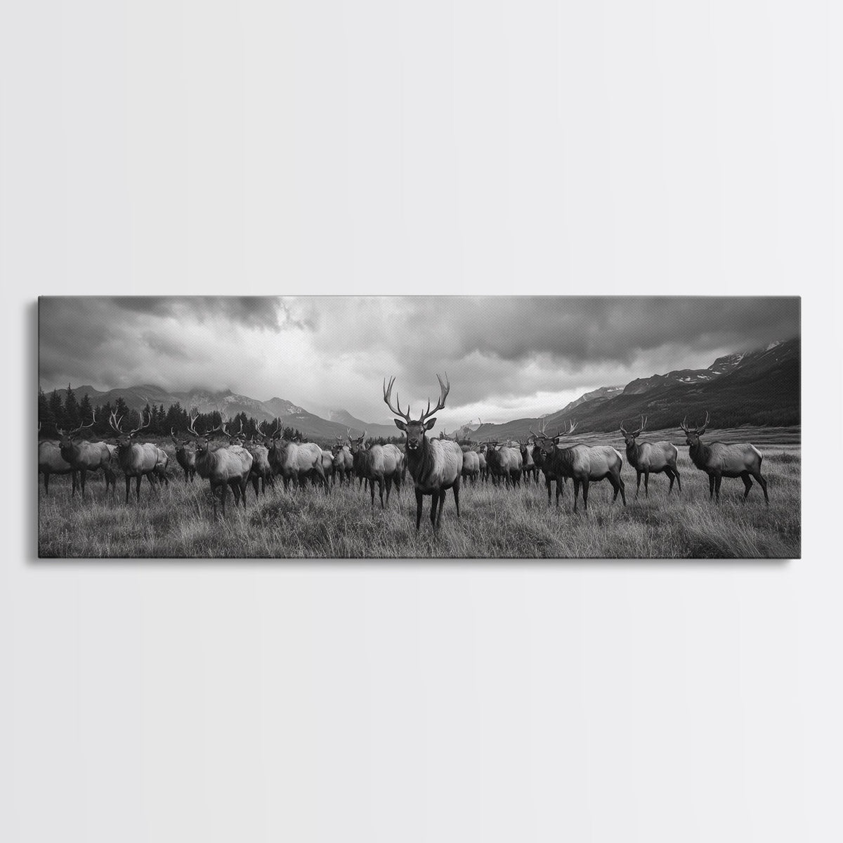 Elk Herd, Mountain Wild, Autumn Majesty, Framed Canvas Print, Rustic Cabin Decor, Wildlife Lover Gift, Fall Nature Wall Art