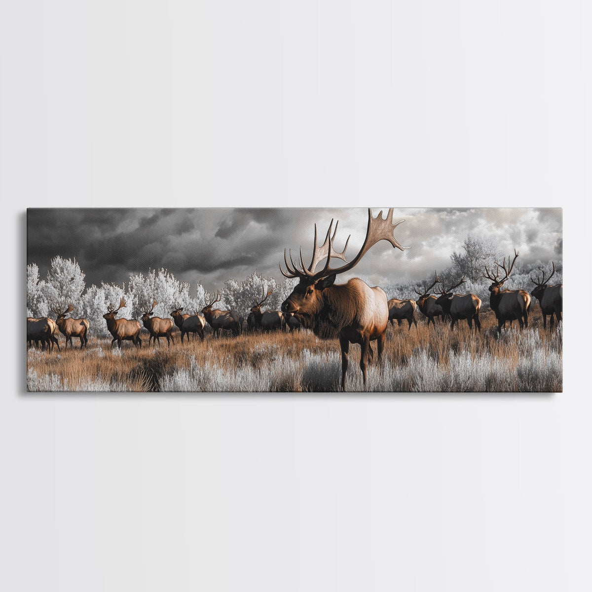 Elk Herd, Majestic Wildlife, Autumn Landscape, Framed Canvas Print, lodge decor, rustic mountain wall art, moody nature canvas