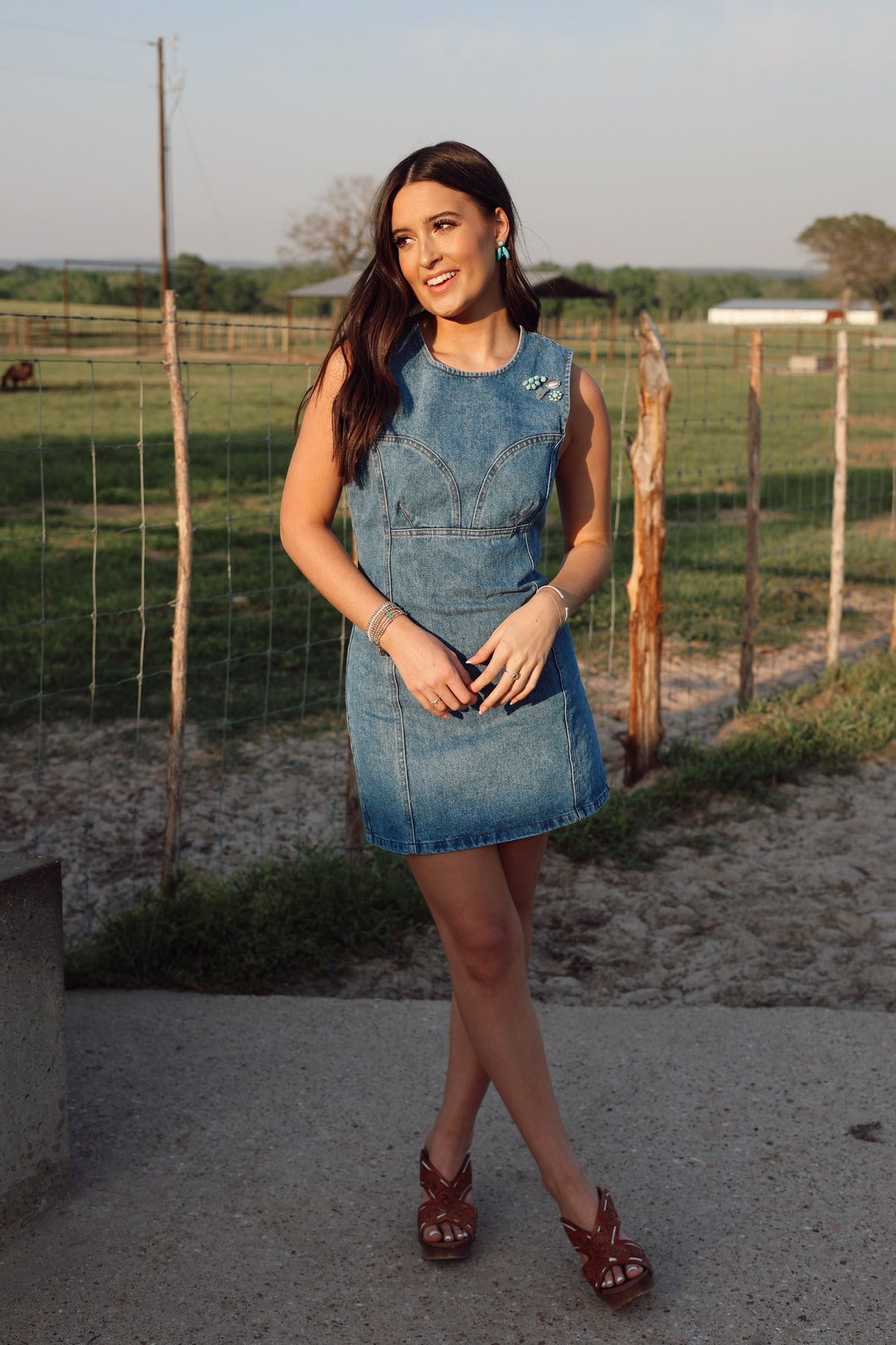 Dallas Denim Dress