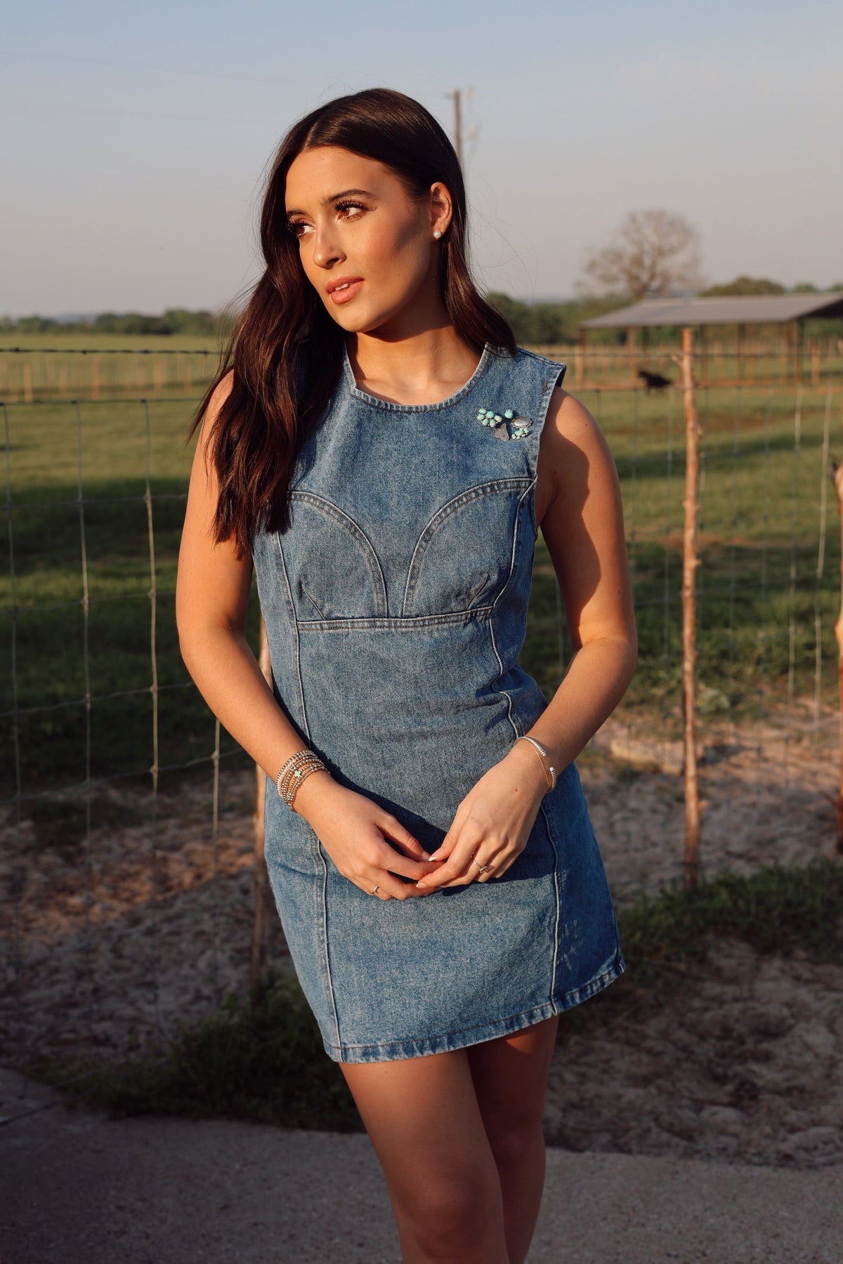 Dallas Denim Dress