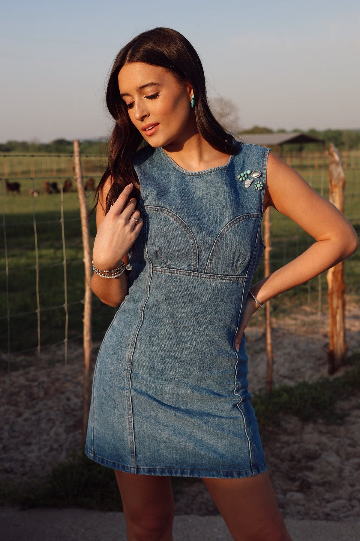 Dallas Denim Dress