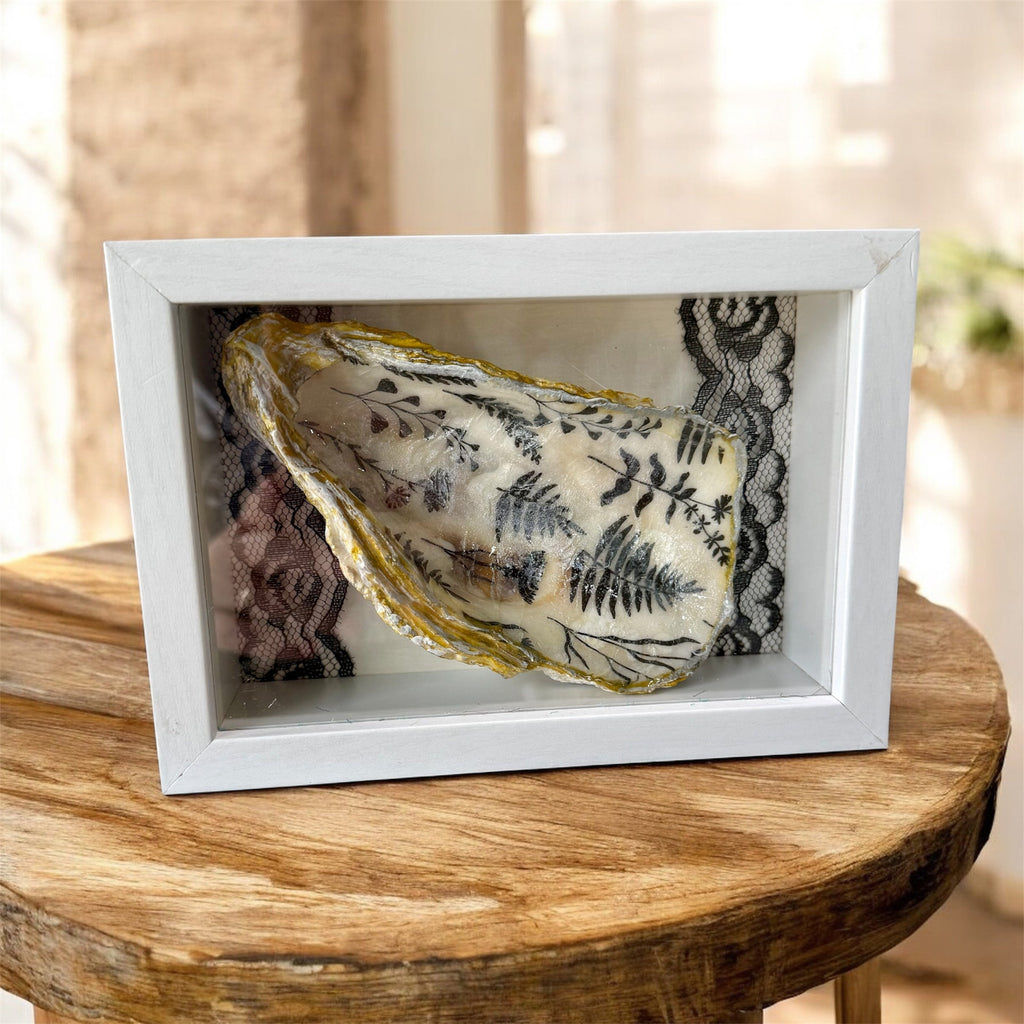 Handcrafted Oyster Shell / Seashell Shadow Box Shelf Decor / Black/White Lace / 5”x7”