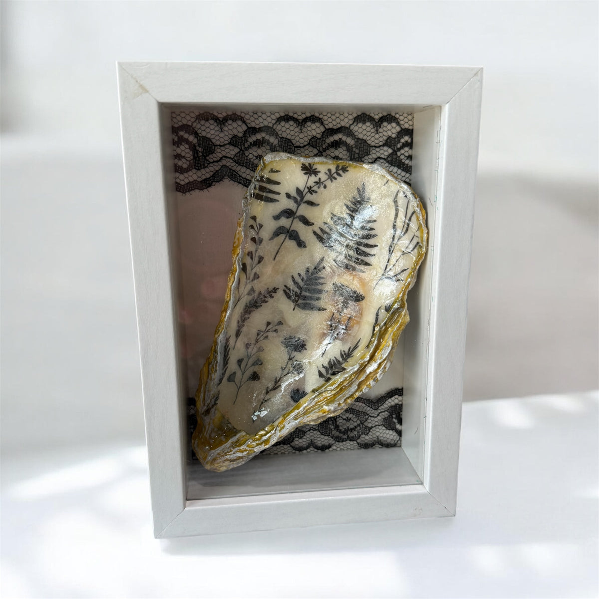 Handcrafted Oyster Shell / Seashell Shadow Box Shelf Decor / Black/White Lace / 5”x7”