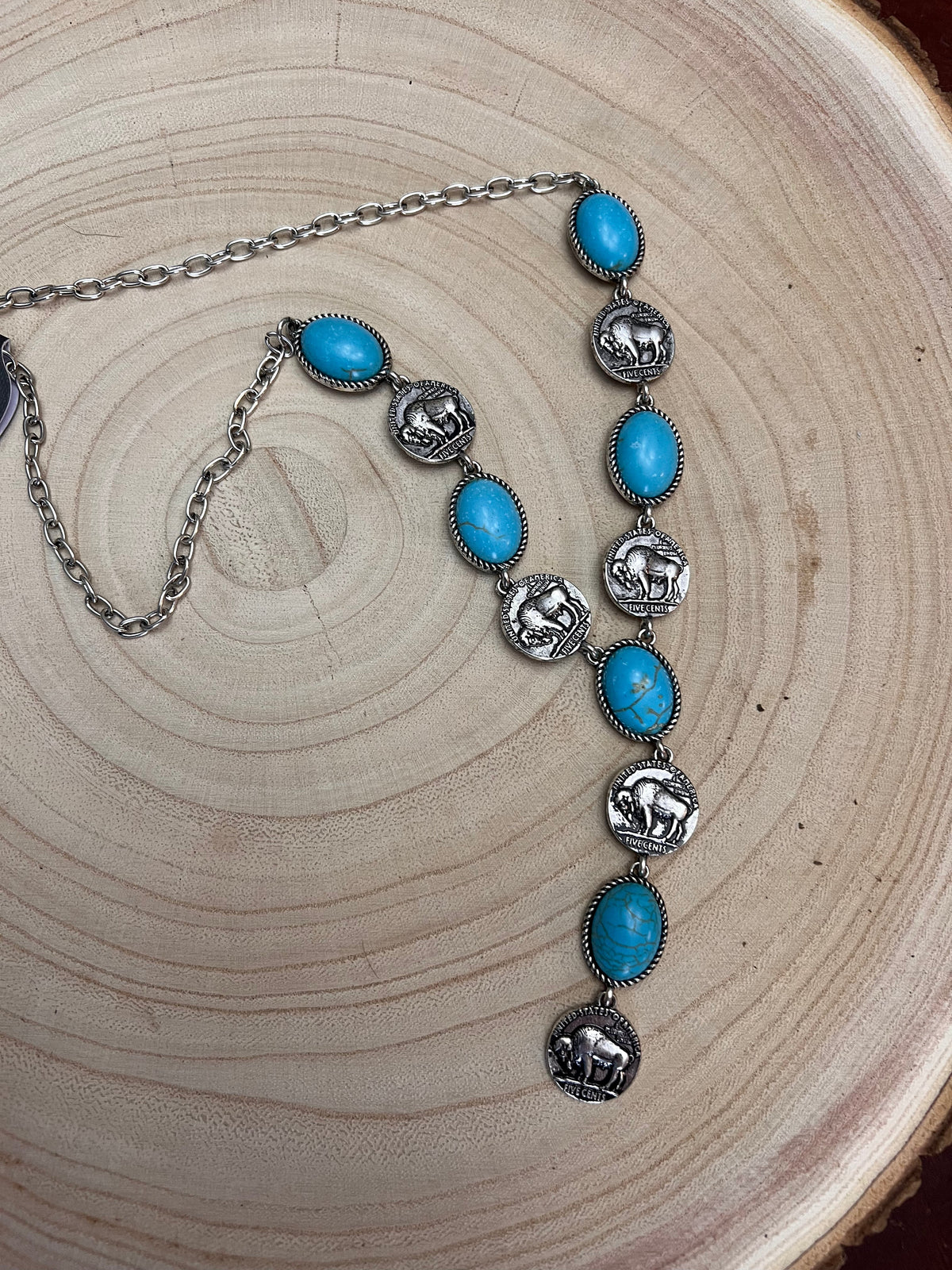 Western Buffalo Coin Faux Lariat Necklace & Earring Set